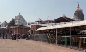 Jagannath Temple Darshan and Puri Sightseeing: A One-Day Itinerary